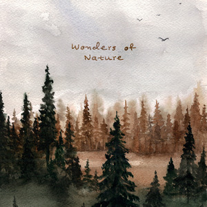 亚洲欧美另类色图
