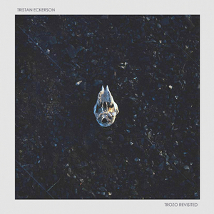 亚洲欧美另类色图
